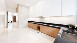 Toh Estate (D17), Semi-Detached #608704261